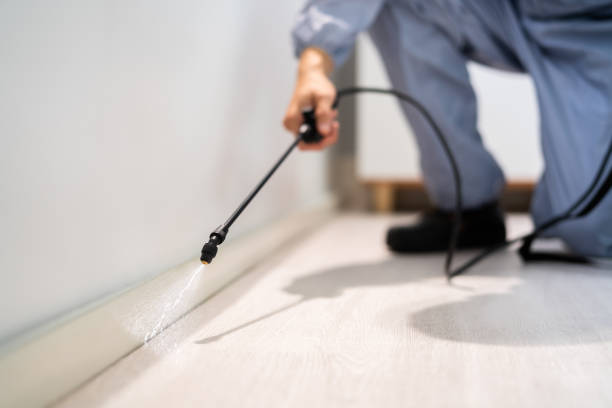 Licensed Pest Control service in Rancho Cordova, CA - Show Me Pest Control